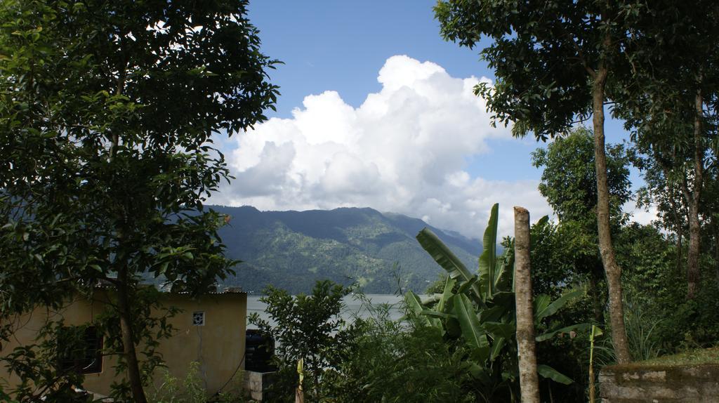 Peace Guest House Pokhara Eksteriør bilde