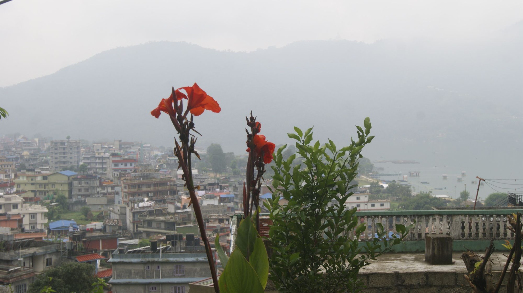 Peace Guest House Pokhara Eksteriør bilde